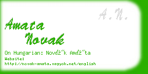 amata novak business card